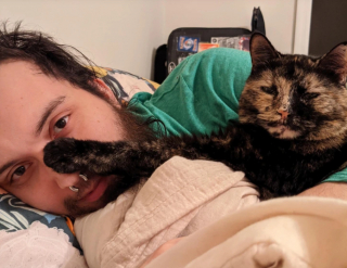 Illustration de l'article : 17 photos montrant que ce sont littéralement les chats qui choisissent leur humain préféré