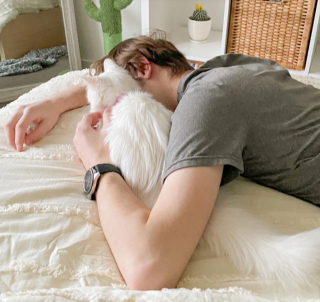 Illustration de l'article : 17 photos montrant que ce sont littéralement les chats qui choisissent leur humain préféré