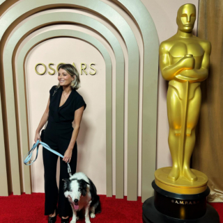 Illustration de l'article : Messi, chien du film « Anatomie d’une chute », fait une apparition remarquée au Déjeuner des Oscars