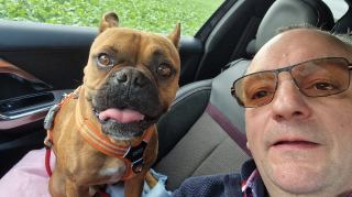 Illustration de l'article : Cet amoureux des chiens passe ses weekends à sillonner les routes pour emmener les animaux adoptés chez leurs nouvelles familles