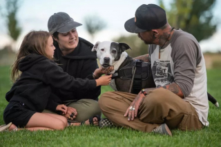 Illustration de l'article : Une chienne séniore gravement malade et n'ayant connu que les refuges se voit offrir le plus beau des cadeaux au crépuscule de sa vie