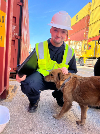 Illustration de l'article : La chienne découverte enfermée dans un conteneur réservait une autre surprise à ses sauveurs
