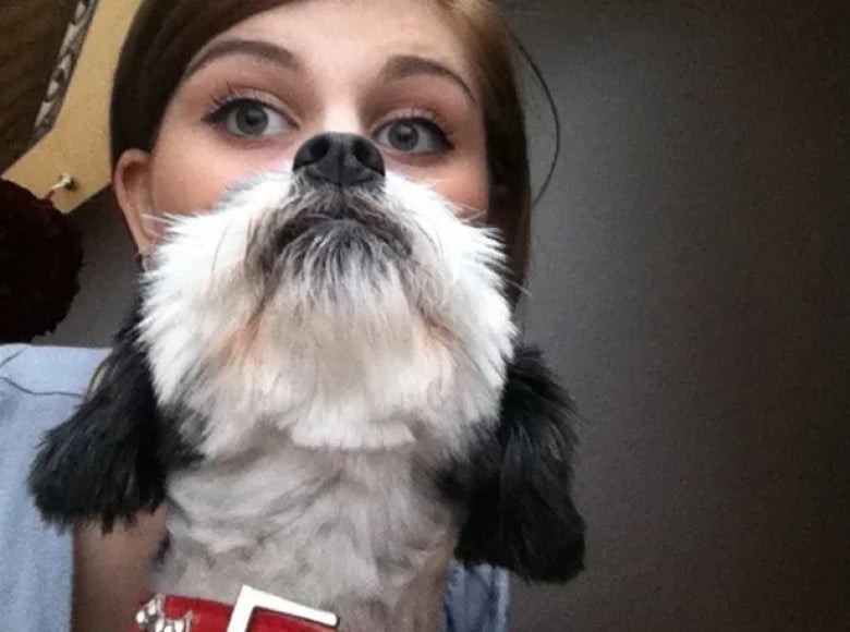 Illustration de l'article : 18 photos qui prouvent que les chiens ont un grand sens de l’humour