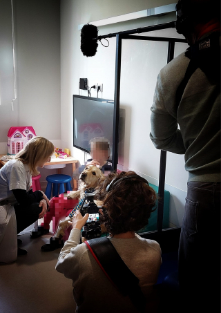 Illustration de l'article : Libérer la parole des jeunes victimes, telle est la mission de Suki, cette chienne d'assistance judiciaire qui vient d'obtenir un statut officiel