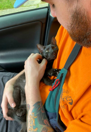 Illustration de l'article : 18 photos montrant la joie profonde que ressentent les chats et les chiens, lorsqu’ils ont enfin trouvé leur famille pour la vie