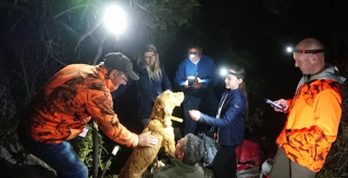 Illustration de l'article : Un chien tombé dans une cavité rocheuse mobilise pompiers et spéléologues secouristes durant plusieurs jours
