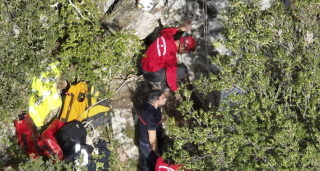 Illustration de l'article : Un chien tombé dans une cavité rocheuse mobilise pompiers et spéléologues secouristes durant plusieurs jours