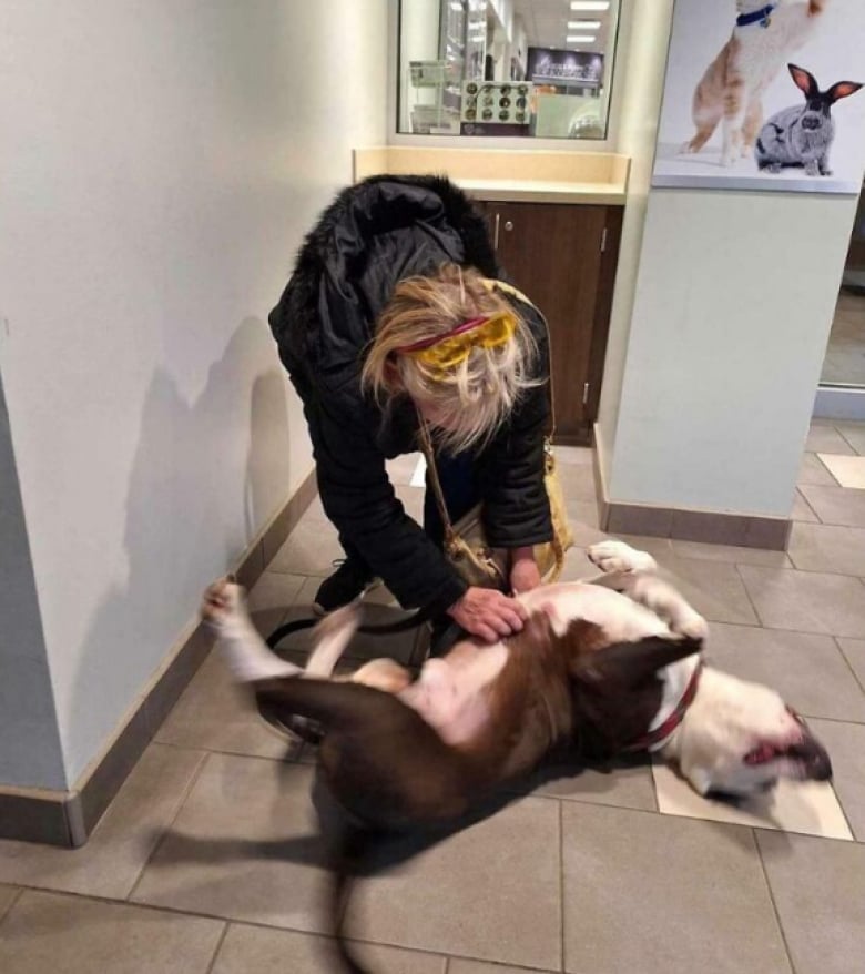 Illustration de l'article : 16 photos d’animaux qui ont enfin trouvé le bonheur auprès de leur famille pour la vie