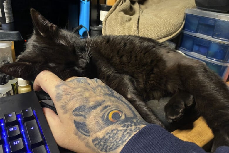 Illustration de l'article : 16 photos d’animaux qui ont enfin trouvé le bonheur auprès de leur famille pour la vie