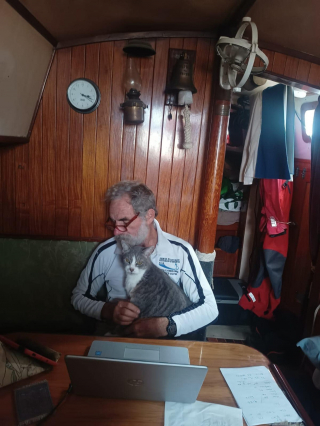 Illustration de l'article : L'arrivée d'Oli, le chat star d'une célèbre course à la voile, attendue par des dizaines de personnes sur le quai