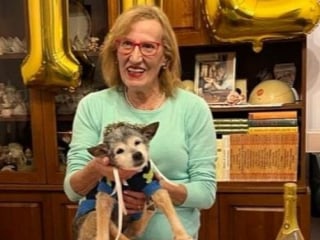 Illustration de l'article : En fêtant son 24e anniversaire, Lilly, une petite chienne croisée rescapée d’une aire d’autoroute, est certainement devenue « le plus vieux chien du monde »