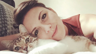 Illustration de l'article : La propriétaire d'un chat disparu 7 ans plus tôt reçoit la visite du vétérinaire qui a une nouvelle importante à lui annoncer