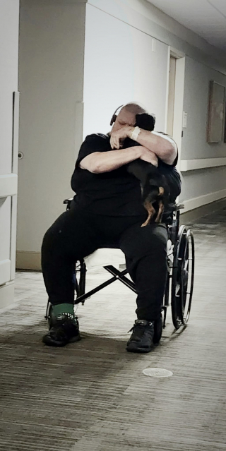 Illustration de l'article : En sortant du coma, un homme apprend que son chien a disparu et a pour seul objectif de le retrouver