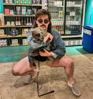 Illustration de l'article : 11 photos célébrant les « chats de magasins », ces félins qui vivent dans les épiceries et magasins de New-York
