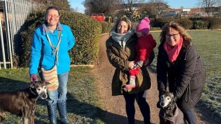 Illustration de l'article : La rencontre de 2 chiens séniors qui se ressemblent conduit leurs maîtresses à une révélation stupéfiante