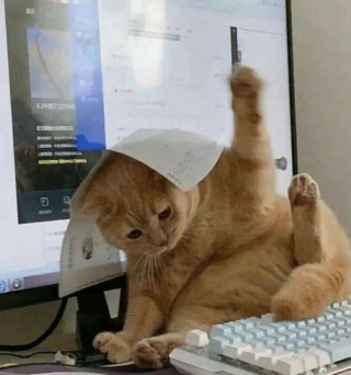 Illustration de l'article : 15 photos de chats et de chiens qui ont été surpris dans une situation fort cocasse
