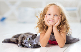 Illustration de l'article : 20 choses que votre chat n’apprécie pas, contrairement à ce que vous pouvez croire