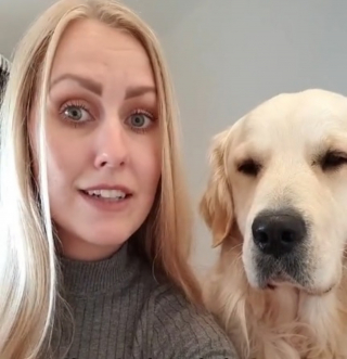 Illustration de l'article : La réaction comique d'un Golden Retriever voyant ses jouets étendus sur la corde à linge en attendant d'être donnés à d'autres chiens (vidéo)