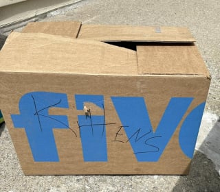 Illustration de l'article : En voyant un carton sur le bord de la route portant l'inscription "chatons", un passant comprend immédiatement qu'il y a des vies à sauver