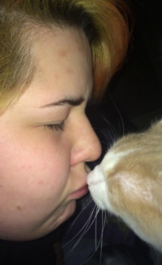 Illustration de l'article : Le bonheur immense d'une femme adoptant le chat de sa défunte soeur 5 ans après et constatant qu'il la reconnaît (vidéo)