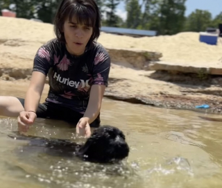 Illustration de l'article : Une petite chienne Labrador pleine de courage découvre les joies de la baignade pour la première fois (vidéo)