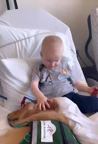 Illustration de l'article : Un enfant de 2 ans atteint d’un cancer retrouve le sourire lorsque son meilleur ami canin lui rend visite à l’hôpital (vidéo)