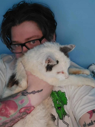 Illustration de l'article : Après 12 ans d’absence, un chat retrouve sa famille qui avait perdu tout espoir de le revoir un jour 