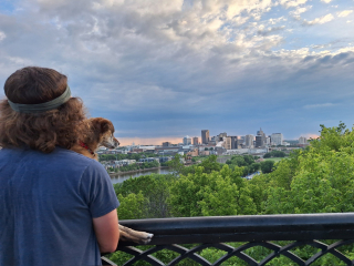 Illustration de l'article : Un homme parcourt tous les ponts de la région avec sa chienne de 18 ans pour lui offrir ses derniers moments préférés