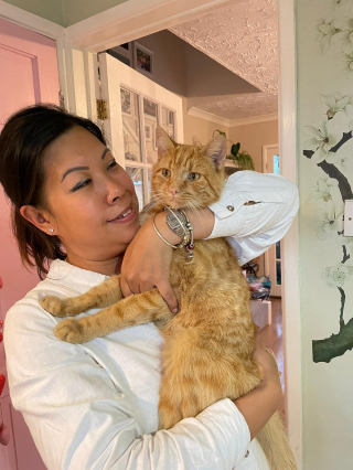 Illustration de l'article : Ce chat roux adore visiter le mémorial d’un célèbre félin de sa ville et assure sans le savoir sa relève