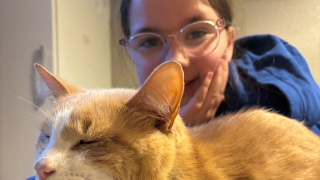 Illustration de l'article : Des étudiants se mobilisent pour aider Sylvester, un chat qui leur rendait visite sur le campus avant de tomber malade