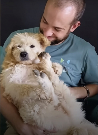 Illustration de l'article : 15 photos montrant la surprenante métamorphose de Bobby, le chien sauvé de la rue