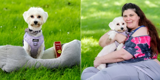 Illustration de l'article : Un chiot sauvé après une amputation trouve une famille définitive auprès de sa sauveteuse