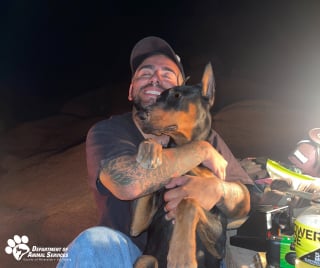 Illustration de l'article : Sous une chaleur écrasante, un jeune Dobermann s’enfuit pendant 2 jours dans un parc national et provoque un bel élan de solidarité pour le sauver