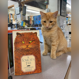 Illustration de l'article : Dans cette librairie, ce sont les chats qui dirigent l’établissement depuis près de 40 ans (vidéo)