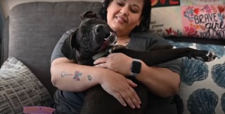 Illustration de l'article : Un chiot négligé et enchaîné dehors en permanence retrouve la joie de vivre grâce à une association