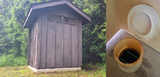 Illustration de l'article : Une chienne secourue après avoir été piégée dans une fosse de toilettes publiques retrouve le bonheur grâce à sa famille d'accueil