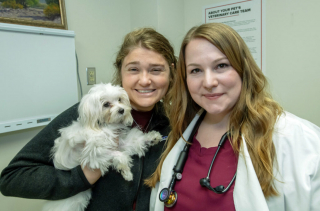 Illustration de l'article : Un Bichon Maltais bénéficie d'une grande première en médecine vétérinaire grâce à une nouvelle procédure pour traiter sa maladie cardiaque