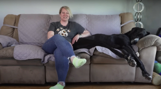 Illustration de l'article : Le Livre Guinness des records annonce le décès de Kevin, le plus grand chien du monde