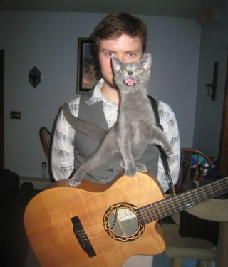 Illustration de l'article : 18 photos montrant que les chats ont un don véritable pour s’incruster sur les photos