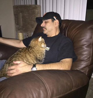 Illustration de l'article : 16 photos qui prouvent que les chats sont prêts à tout pour vous toucher en plein coeur