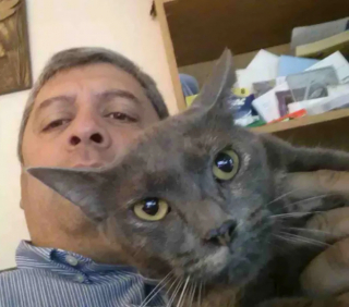 Illustration de l'article : 16 photos qui prouvent que les chats sont prêts à tout pour vous toucher en plein coeur