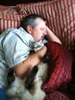 Illustration de l'article : 16 photos qui prouvent que les chats sont prêts à tout pour vous toucher en plein coeur