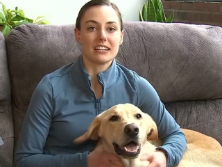 Illustration de l'article : En pleine célébration de son mariage, ce couple est contraint d'interrompre la cérémonie à cause de son chien