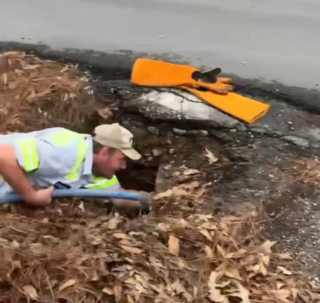 Illustration de l'article : L'approche d'une forte pluie déclenche le stress des sauveteurs qui tentent d'extirper un chiot pris au piège dans un égout pluvial (vidéo)