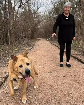 Illustration de l'article : Un chien de refuge sénior aux besoins spéciaux reçoit la visite d'une retraitée ayant de l'énergie et de l'amour à revendre