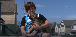 Illustration de l'article : La famille d'une chienne perdue depuis 11 jours renoue avec l'espoir grâce à un enfant de 10 ans attentif et déterminé