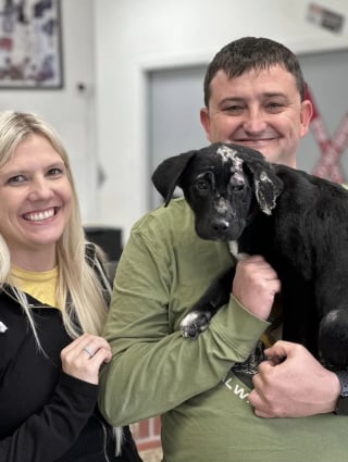 Illustration de l'article : Blessé et orphelin à la suite d'un incendie, ce chiot peut à nouveau aspirer au bonheur en rencontrant un pompier 1 mois plus tard