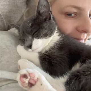 Illustration de l'article : Jugé trop sauvage pour vivre en refuge, ce chat allait être libéré à l’extérieur quand une famille aimante lui a donné une chance de se métamorphoser (vidéo)