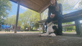 Illustration de l'article : La promenade d'une chienne aux abords d'un lac prend une tournure imprévue, entraînant sa maîtresse dans trois jours qui deviendront les plus longs de sa vie