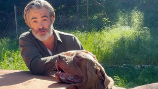 Illustration de l'article : L'acteur Chris Pine ouvre les portes de son foyer à 2 chiens de refuge pour les aider à prendre un nouveau départ
